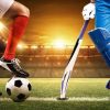 cricket & football turf Undri pune